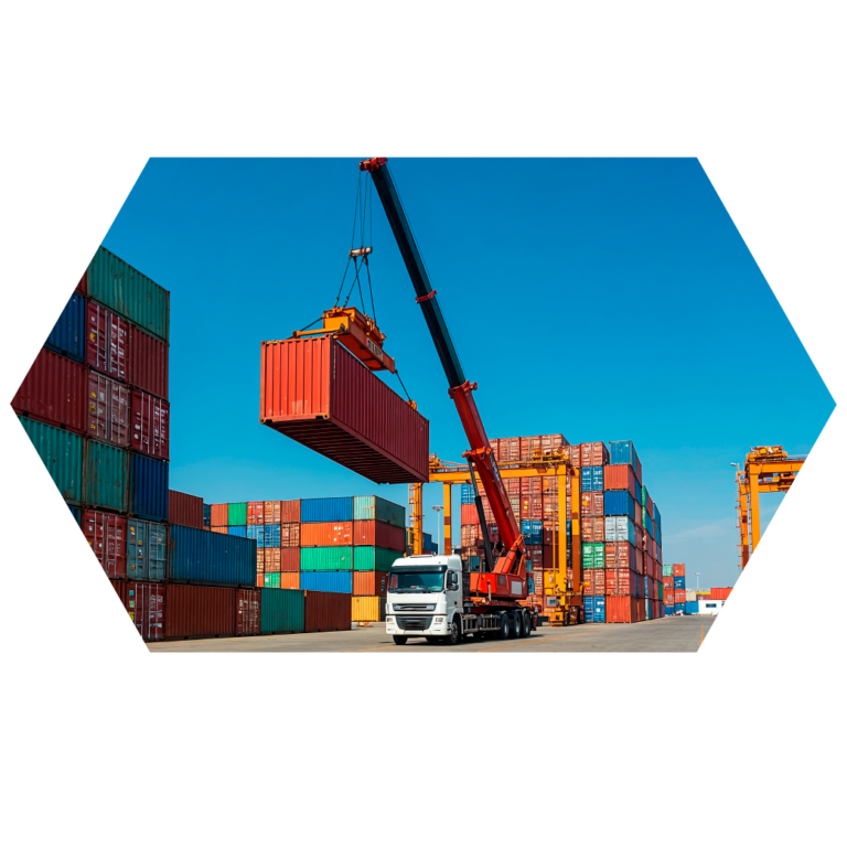 web_manzac_servicio_logistica-13